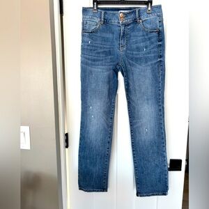 Cabi Cinch Straight Jean 4521 Fall 2023